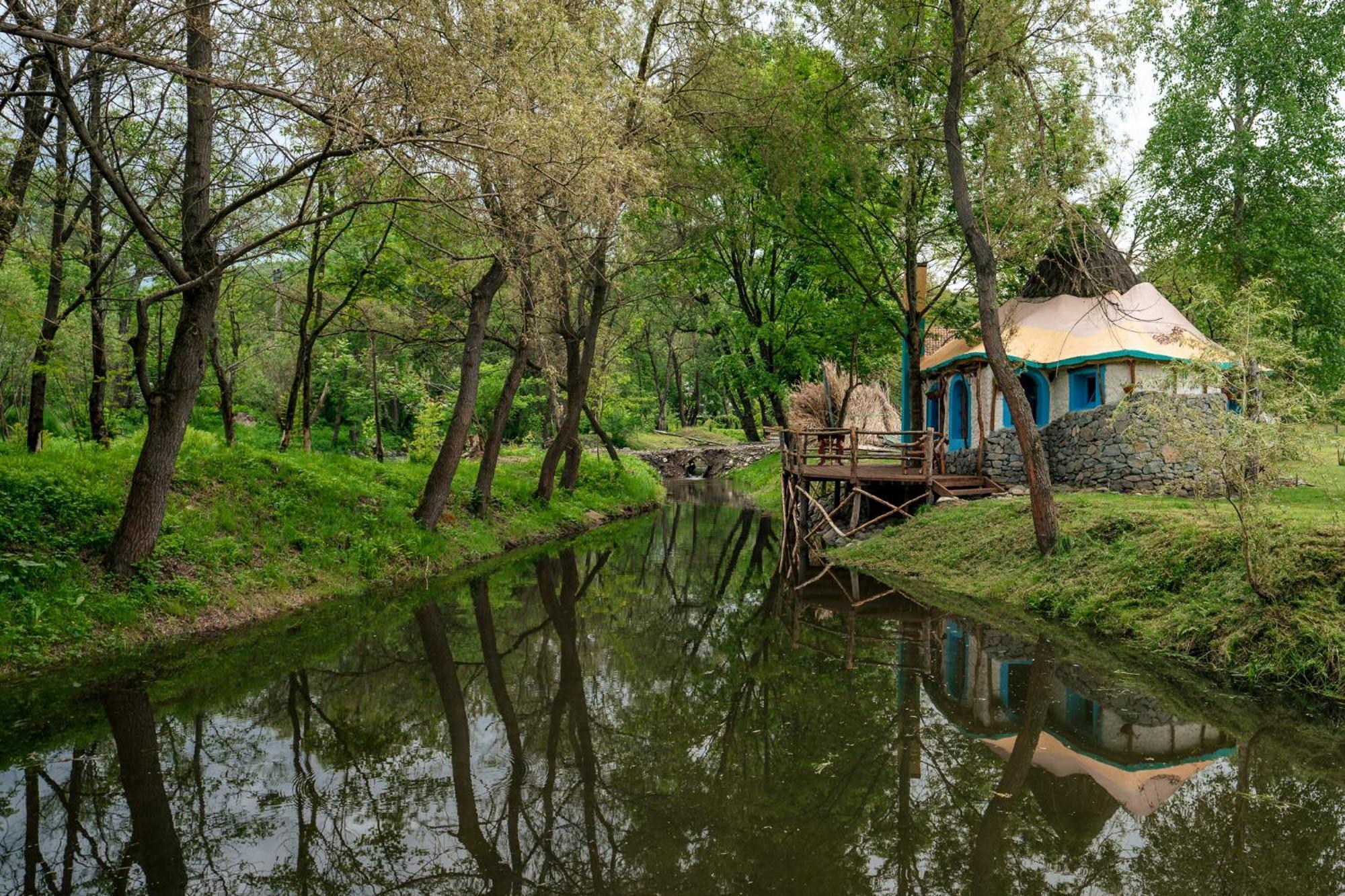 Viewtopia The Secret Land Valea Drăganului エクステリア 写真