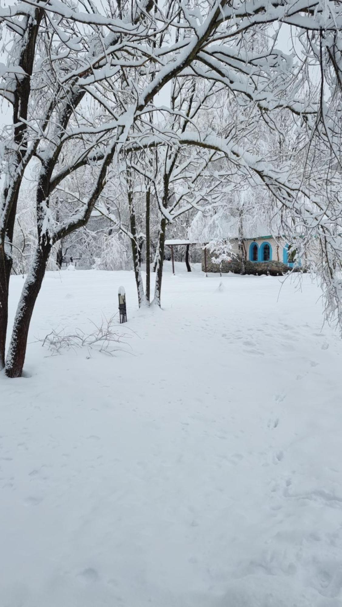 Viewtopia The Secret Land Valea Drăganului エクステリア 写真