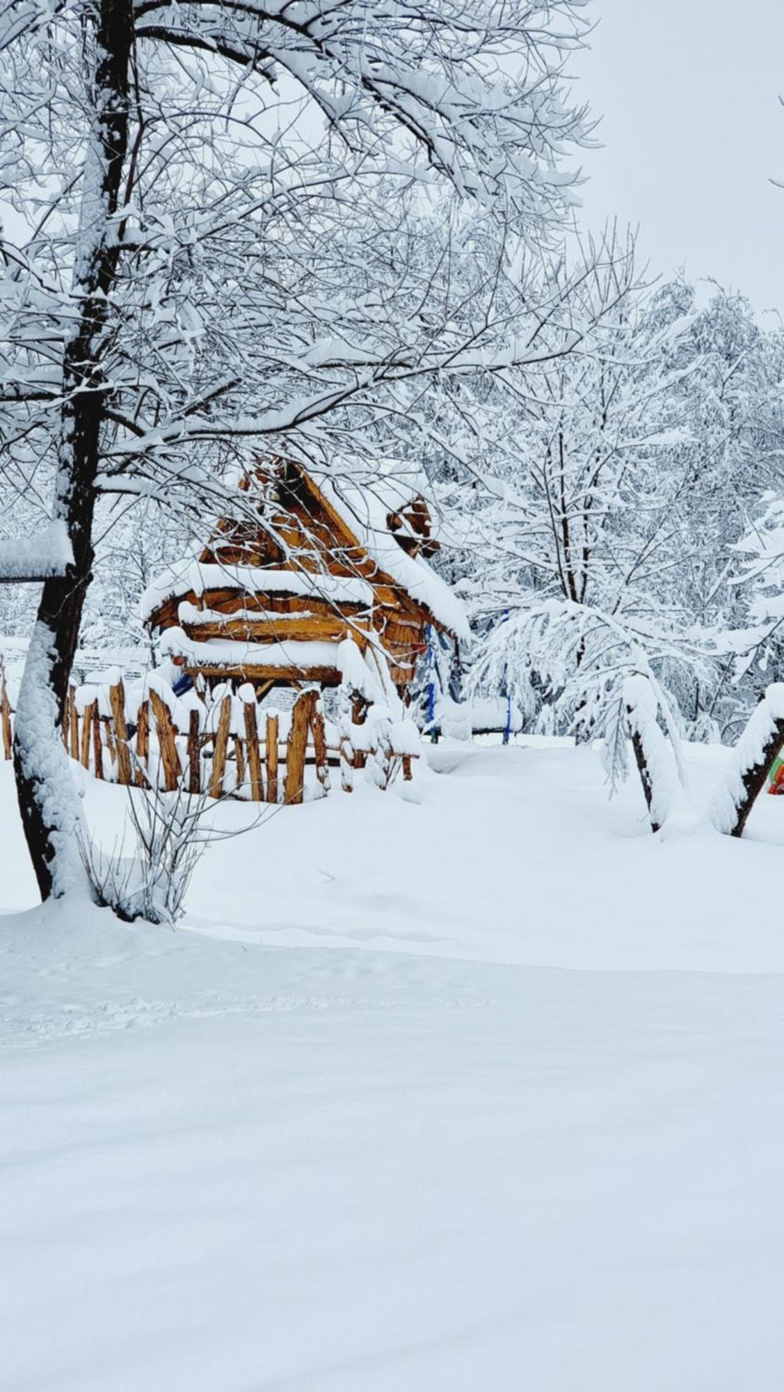 Viewtopia The Secret Land Valea Drăganului エクステリア 写真